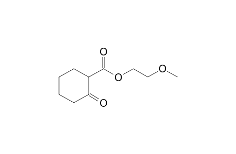 2-Methoxyethyl cyclohexanone-2-carboxylate