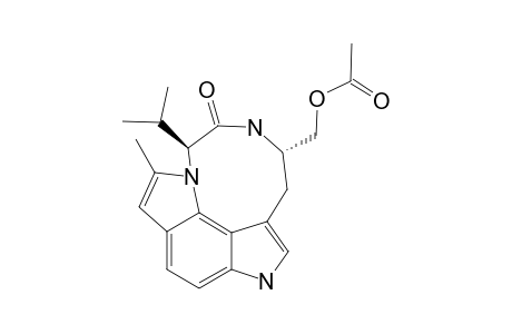 TWIST-CONFORMER