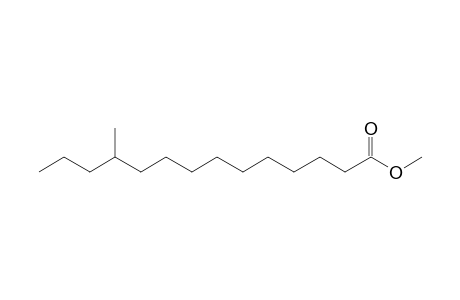 Methyl 11-methyl - tetradecan - oate