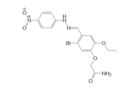 2-(5-bromo-2-ethoxy-4-{(E)-[(4-nitrophenyl)hydrazono]methyl}phenoxy)acetamide