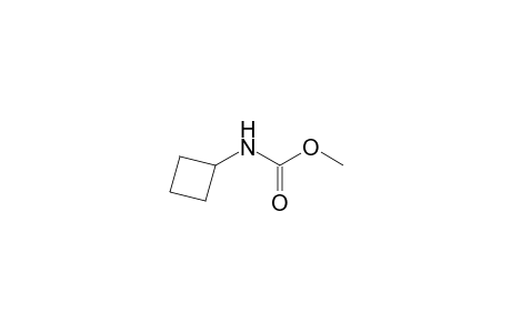 Methyl N-cyclobutylcarbamate