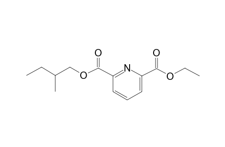 2,6-Pyridinedicarboxylic acid, ethyl 2-methylbutyl ester