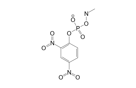 (2,4-dinitrophenyl) methylamino phosphate