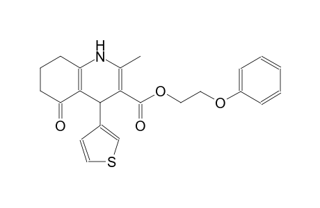3-quinolinecarboxylic acid, 1,4,5,6,7,8-hexahydro-2-methyl-5-oxo-4-(3-thienyl)-, 2-phenoxyethyl ester