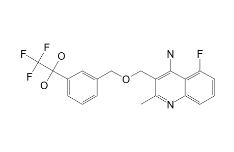 4-AMINO-5-FLUORO-2-METHYL-3-(3-TRIFLUOROACETYLBENZYLOXYMETHYL)-QUINOLINE;HYDRATED-KETONE