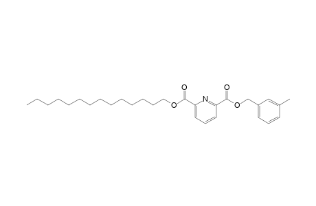 2,6-Pyridinedicarboxylic acid, 3-methylbenzyl tetradecyl ester