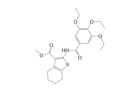 methyl 2-[(3,4,5-triethoxybenzoyl)amino]-4,5,6,7-tetrahydro-1-benzothiophene-3-carboxylate