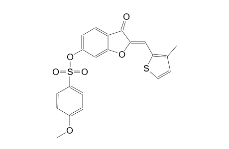 benzenesulfonic acid, 4-methoxy-, (2Z)-2,3-dihydro-2-[(3-methyl-2-thienyl)methylene]-3-oxobenzofuranyl ester