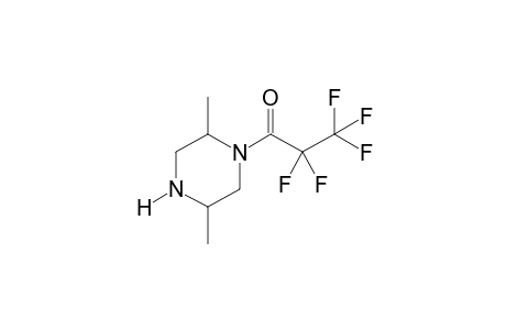 2,5-Dimethylpiperazine PFP