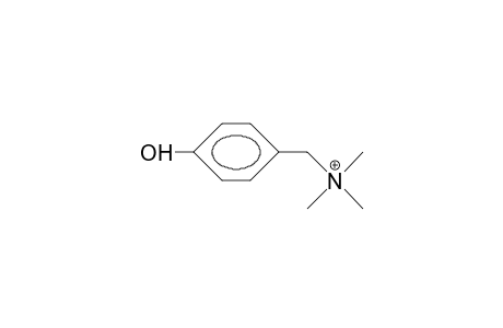 N,N,N-Trimethyl-4-hydroxy-benzenemethanaminium cation