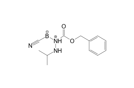 N1-Benzyloxycarbonyl-N2-isopropyl-N-(cyanoboranyl)hydrazine