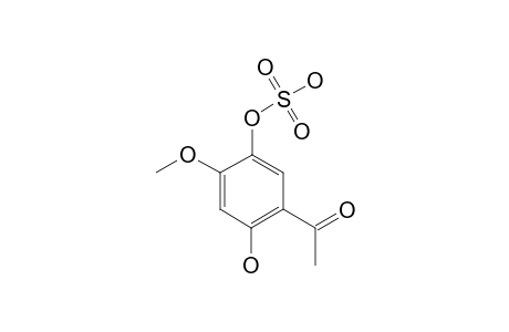 2-HYDROXY-4-METHOXYACETOPHENONE-5-O-SULFATE