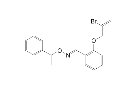 2-(2-BROMOALLYLOXY)-BENZALDEHYDE-O-(ALPHA-METHYL)-BENZYLOXIME