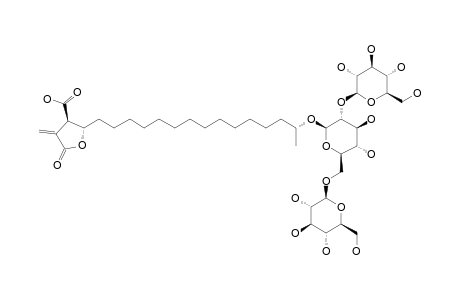 ALLO-MUROLIC-ACID-(18R)-18-O-BETA-D-GLUCOPYRANOSYL-(1->2)-[BETA-D-GLUCOPYRANOSYL-(1->6)]-BETA-D-GLUCOPYRANOSIDE