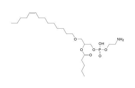 PE O-14:1_5:0