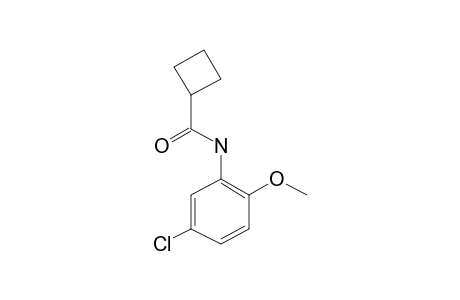 Cyclobutylcarboxamide, N-(5-chloro-2-methoxyphenyl)-