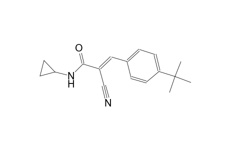 (2E)-3-(4-tert-butylphenyl)-2-cyano-N-cyclopropyl-2-propenamide