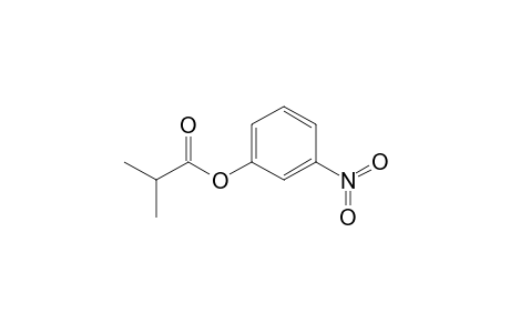 2-Methylpropanoic acid (3-nitrophenyl) ester