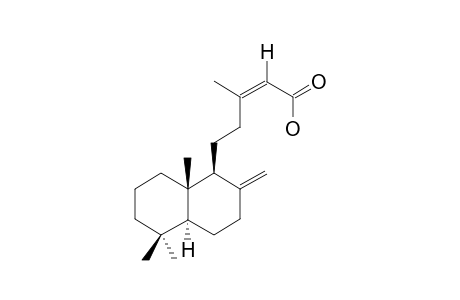 labda-8(17),13Z-dien-15-oic acid