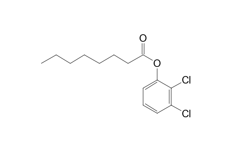 Octanoic acid, 2,3-dichlorophenyl ester