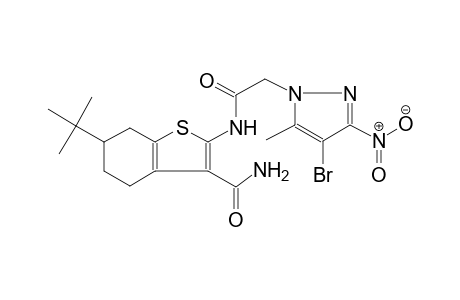 2-{[(4-bromo-5-methyl-3-nitro-1H-pyrazol-1-yl)acetyl]amino}-6-tert-butyl-4,5,6,7-tetrahydro-1-benzothiophene-3-carboxamide