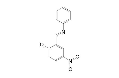 4-NITRO-2-(PHENYLIMINOMETHYL)-PHENOL