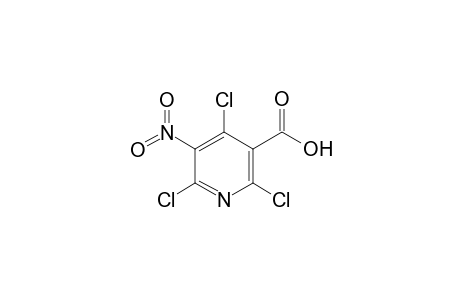 2,4,6-Trichloro-5-nitronicotinic acid