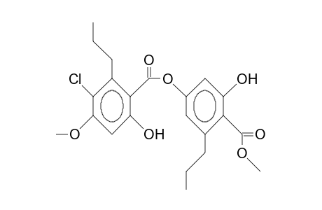 5-Chloro-divaricatic acid, methyl ester