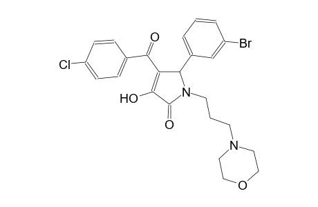 5-(3-bromophenyl)-4-(4-chlorobenzoyl)-3-hydroxy-1-[3-(4-morpholinyl)propyl]-1,5-dihydro-2H-pyrrol-2-one