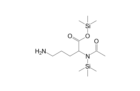 N-acetyl-ornithine, 2TMS