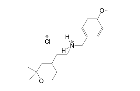 2H-pyran-4-ethanaminium, tetrahydro-N-[(4-methoxyphenyl)methyl]-2,2-dimethyl-, chloride