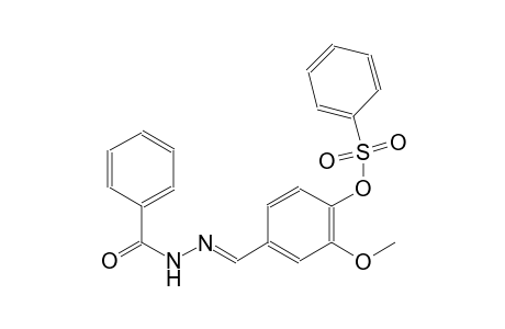 4-[(E)-(benzoylhydrazono)methyl]-2-methoxyphenyl benzenesulfonate