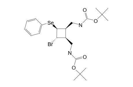(1S*,2S*,3S*,4R*)-2-BROMO-3,4-BIS-(N-TERT.-BUTOXYCARBONYLAMINOMETHYL)-1-PHENYLSELENYLCYCLOBUTANE