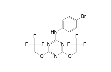 [4,6-Bis-(2,2,2-trifluoro-ethoxy)-[1,3,5]triazin-2-yl]-(4-bromo-phenyl)-amine