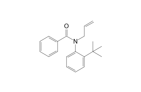 N-Allyl-N-(2-tert-butylphenyl)benzamide