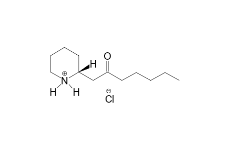 (R)-(-)-2-(2-Oxoheptyl)piperidinium hydrochloride