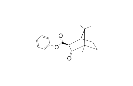 Phenyl Camphor-3-carboxylate