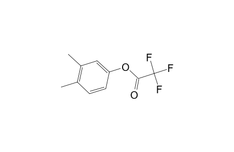 Acetic acid, trifluoro-, 3,4-dimethylphenyl ester