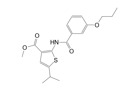 methyl 5-isopropyl-2-[(3-propoxybenzoyl)amino]-3-thiophenecarboxylate