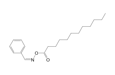 O-Undecylcarbonyl-N-benzylidene oxime