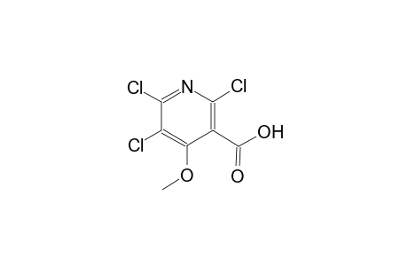 3-pyridinecarboxylic acid, 2,5,6-trichloro-4-methoxy-