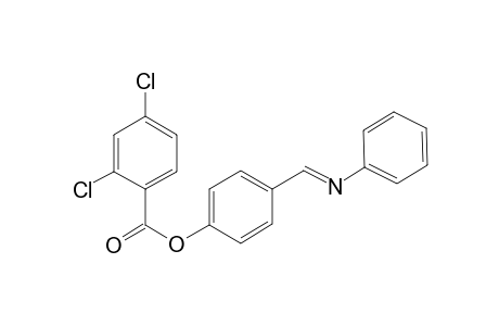 4-[(E)-(Phenylimino)methyl]phenyl 2,4-dichlorobenzoate