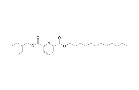 2,6-Pyridinedicarboxylic acid, dodecyl 2-ethylbutyl ester