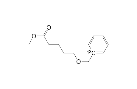 Methylester of 5-Benzyloxy-1-[13C]-pentanoic acid