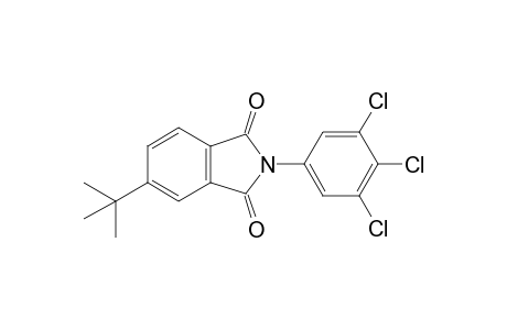 5-tert-Butyl-2-(3,4,5-trichlorophenyl)isoindoline-1,3-dione