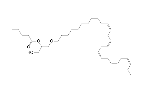 DG O-26:6_5:0