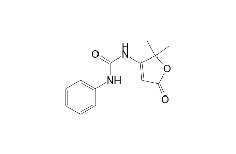 Urea, N-(2,5-dihydro-2,2-dimethyl-5-oxo-3-furanyl)-N'-phenyl-