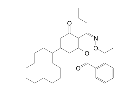 2-Cyclohexen-1-one, 3-(benzoyloxy)-5-cyclododecyl-2-[1-(ethoxyimino)butyl]-