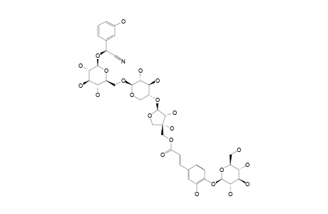 #1;XERANTHIN;2S-[[5-O-(4-BETA-D-GLUCOPYRANOSYLOXY)-CAFFEOYL-BETA-APIOFURANOSYL-(1->4)]-BETA-D-XYLOPYRANOSYL-(1->6)-BETA-D-GLUCOPYRANOSYLOXY]-2-(3-HYDROXY)-PHEN