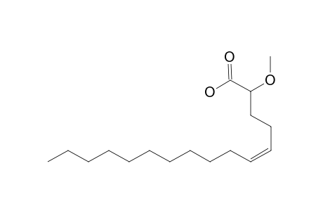 2-METHOXY-5-(Z)-HEXACENEOIC_ACID